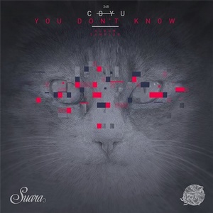 Coyu - You Don't Know (Album Sampler) [SUARA348]