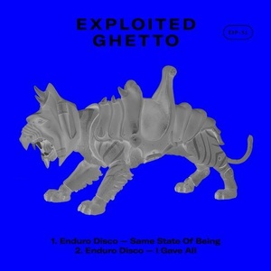 Enduro Disco - Same State of Being [EXP51]