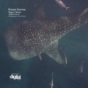 Kenan Savrun - Rigel / Mizar [262SD]