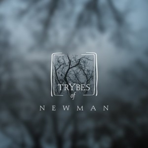 Newman (I Love) - Tears of Rain [TRY001]