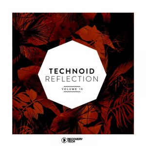 VA - Technoid Reflection Vol 14 [RTCOMP1324]
