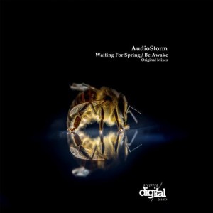 AudioStorm - Waiting for Spring / Be Awake [264SD]