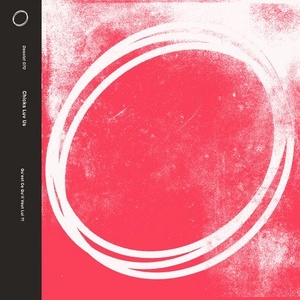 Chicks Luv Us - Qu'est Ce Qu'il Veut Lui?! [DESOLAT070]