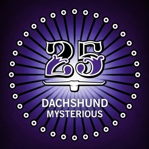 Dachshund - Mysterious [BAR25092]