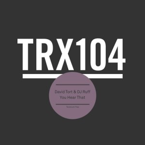 David Tort, DJ Ruff - Wild Girl [TRX10401Z]