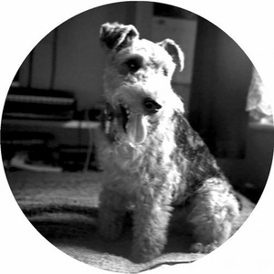 Fold - Astral Planes [SNF032]