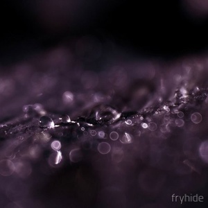 Tone Depth - Stitch / Obsidian Wire [FH021]