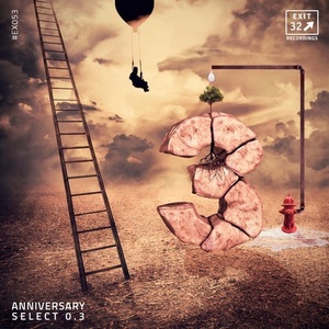 VA - Anniversary Select 0.3 [EX053]