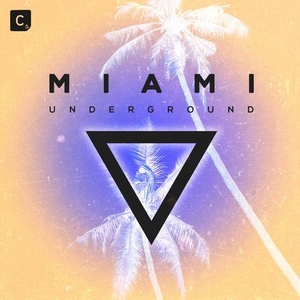 VA - Miami Underground 2019 [ITC2DI269]