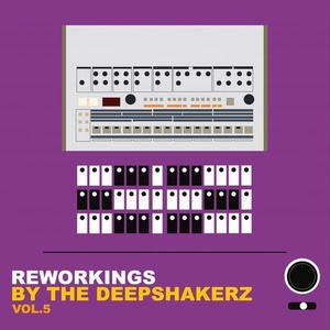 VA - Reworkings By The Deepshakerz, Vol.5 [SAFERW005]