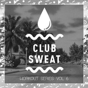 VA - Workout Series, Vol. 6 [CLUBSWE159]