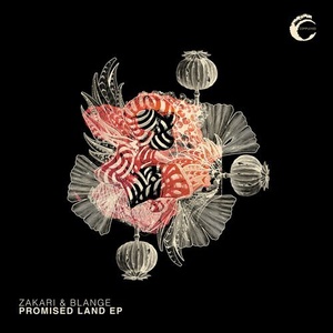 Zakari&Blange - Promised Land [CMPL059]