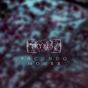 Mandancer - Facundo Mohrr, Valdovinos [TRY004]
