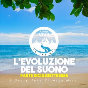 VA - L'Evoluzione Del Suono (Parte Diciassettesima) [NATMIX013]