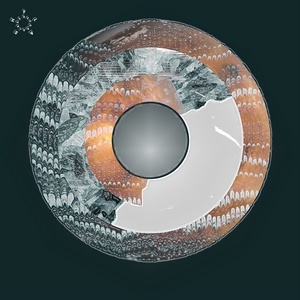 Anml Mthr - Acid Wasp EP [FLASH218]