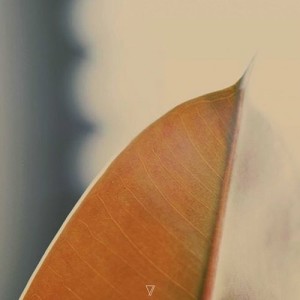 Anton Kubikov - Echoma [7V060D]