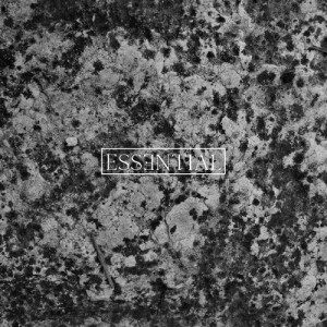 HD Substance - ESSENTIAL 004 [ESSENTIAL004]