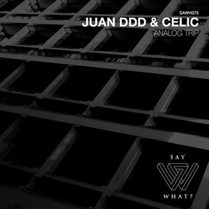 Juan Ddd, Celic, Dave Sanz - Analog Trip [SAWH075]