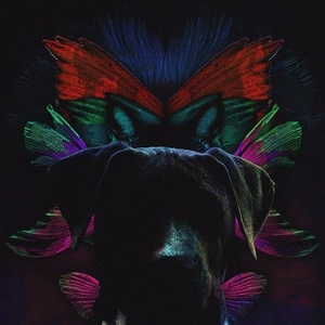 Linnea Dale & Of Norway - Pets [BS212]