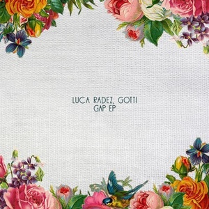 Luca Radez, Gotti (UK) - Gap EP [HBT234]