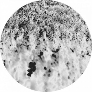 Reggy van Oers & Joachim Spieth - Noctilucent [AFFIN046LTD]