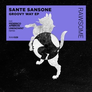 Sante Sansone - Groovy Way [RAW029]