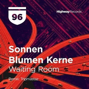 Sonnen Blumen Kerne, Aldeveldis - Waiting Room [HWD96]