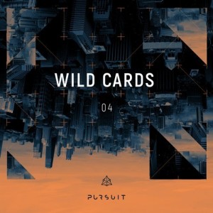 VA - Wild Cards 04 [PRST017]
