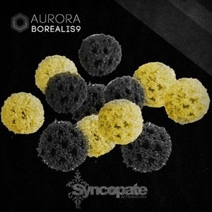 Borealis9 - Aurora [CAT301837]