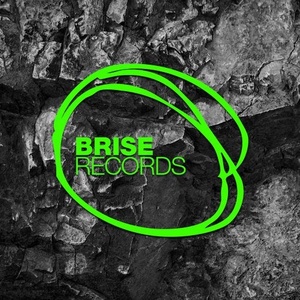 Helmut Dubnitzky, Patrick Testor - Acid Bird [BRISE111]