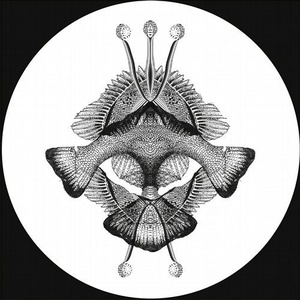 James Bong - Konduktor [MT22]