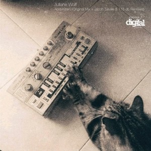 Juliane Wolf - Acid Kitten {Original + Jacob Seville & 116 dB Remixes} [271SD]