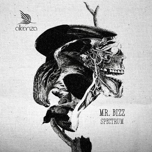 Mr.Bizz - Spectrum EP [ALLE121]