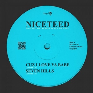 Niceteed - Dancefloor Goodies Traxx Volume 1 [CPMF001]