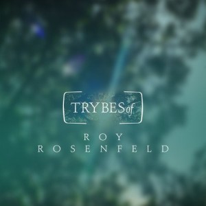 Roy Rosenfeld - The Biggest Heart / Halomot [TRY006]