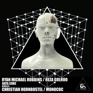 Ryan Michael Robbins, Reza Golroo - Data Cube [FRCNML259]