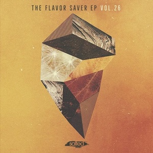 VA - The Flavor Saver EP, Vol. 26 [SLT159]