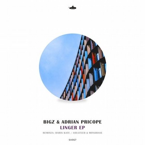 Big Al, Adrian Pricope, Bigz - Linger [SV067]