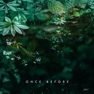 Daniel van der Zwaag - Once Before [NWS022]