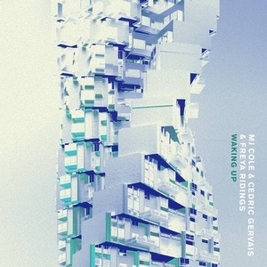 MJ Cole, Cedric Gervais, Freya Ridings - Waking Up [G010004121050N]
