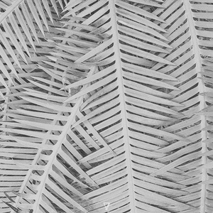 Pablo Bolivar & Noah Pred - Forward Gradient [7V069]