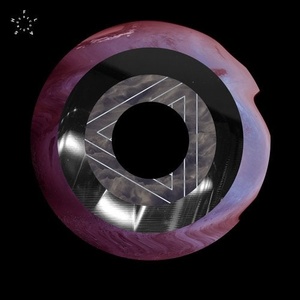 Responder - 303 Overdrive EP [FLASH221]