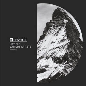 VA - Grizzly EP [PRRUKBLK042]