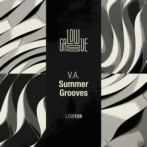 VA - V.A. Summer Grooves [LOW124]