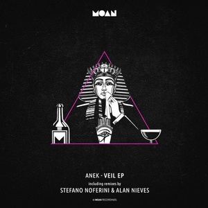 Anek - Veil EP [MOAN109]
