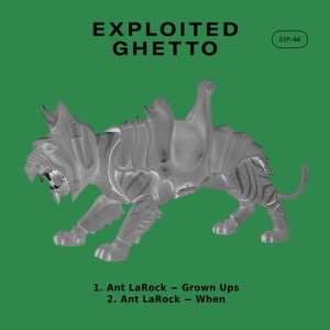 Ant LaRock - Grown Ups [EXP64]