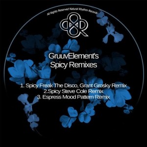 GruuvElement's  - SPICY REMIXES [NR342]