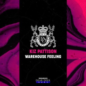 Kiz Pattison - Warehouse Feeling [DDDUBS023]