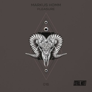 Markus Homm - Pleasure [STILLHOT016]