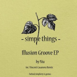 Niu - Illusion Groove [STRD025]